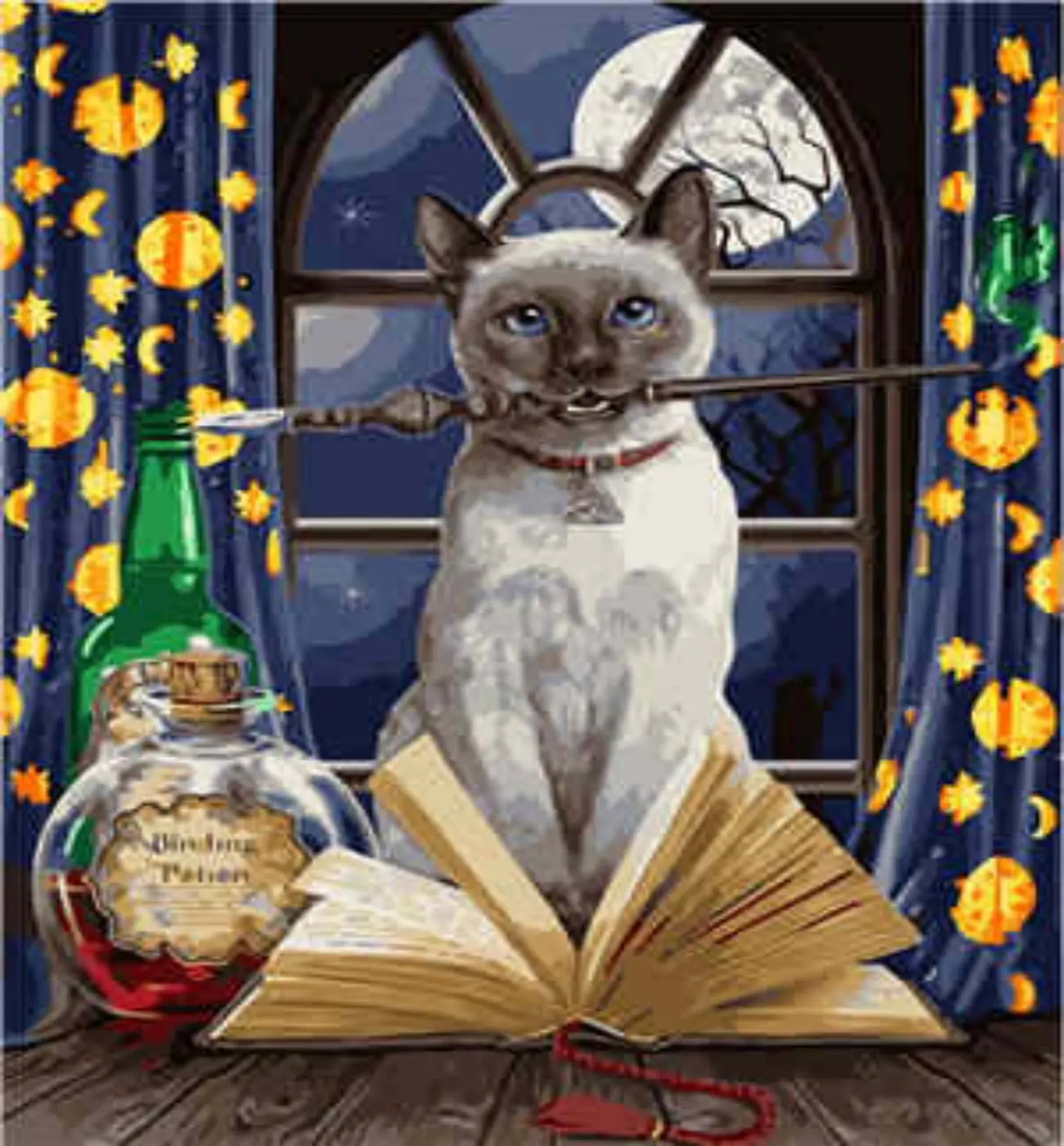 Painting by number Magic Cat painting,40*50 DIY animals painting, canvas painting for Living room wall