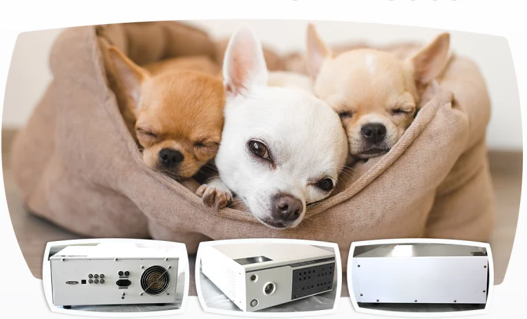 Complete Set Veterinary Endoscopy System