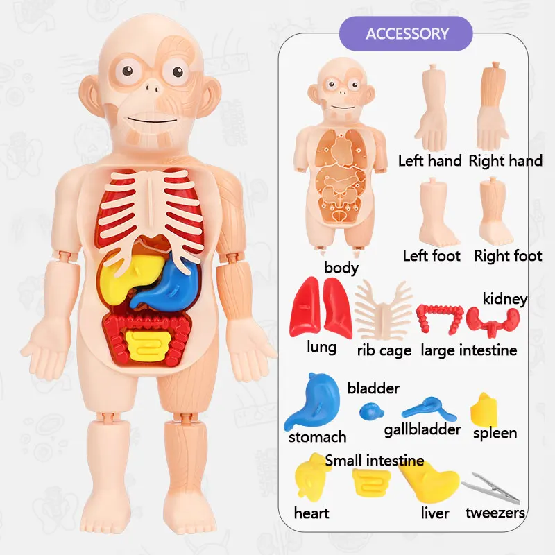 amazon hot sell reusable kids education toys 2021 stem toys science toys stem educational