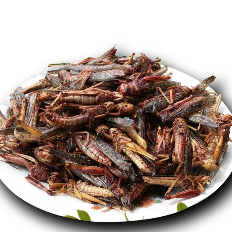 
Factory Sell organic dog treats dried grasshopper 