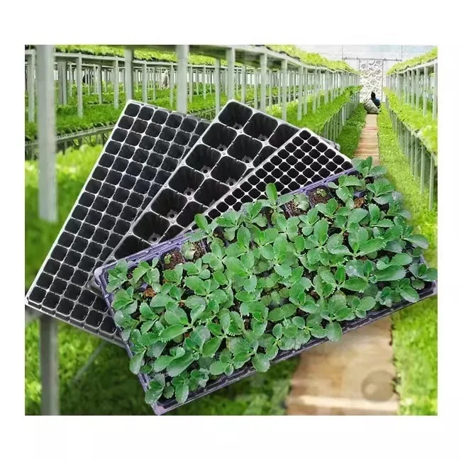 Wholesale  Tomato Sweet Hot Pepper Watermelon Cucumber  Melon Seed  Germination Plant Planting  plastic nursery trays seedling
