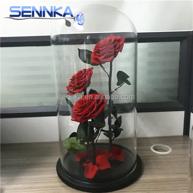 Three Big Preserved Flowers Roses in Glass dome Wedding Decoration