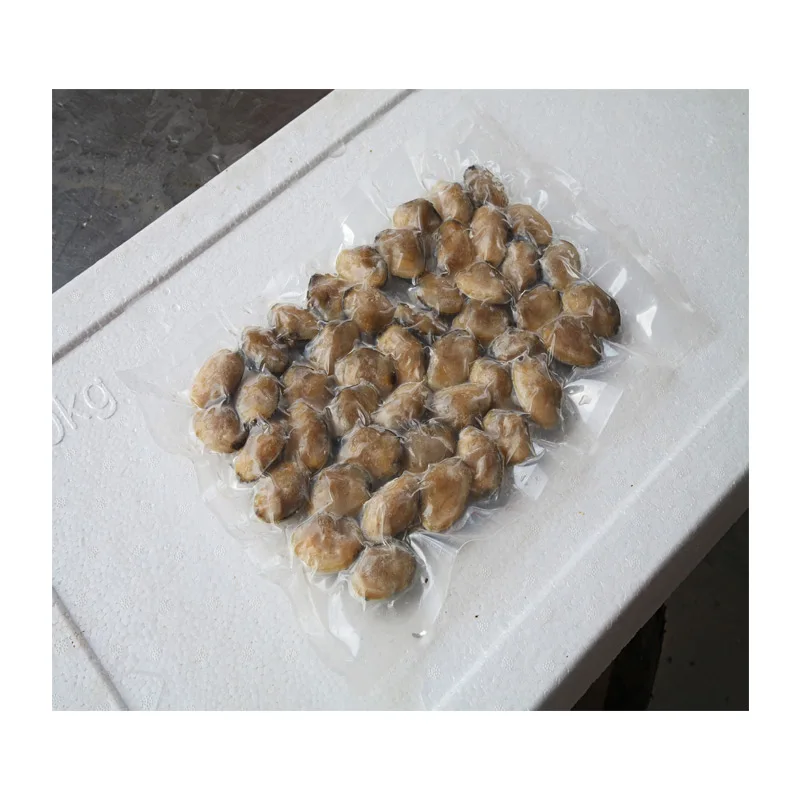 100% Exportable Delicious And Healthy Factory Supplier wholesale fresh frozen export seafood baby clam
