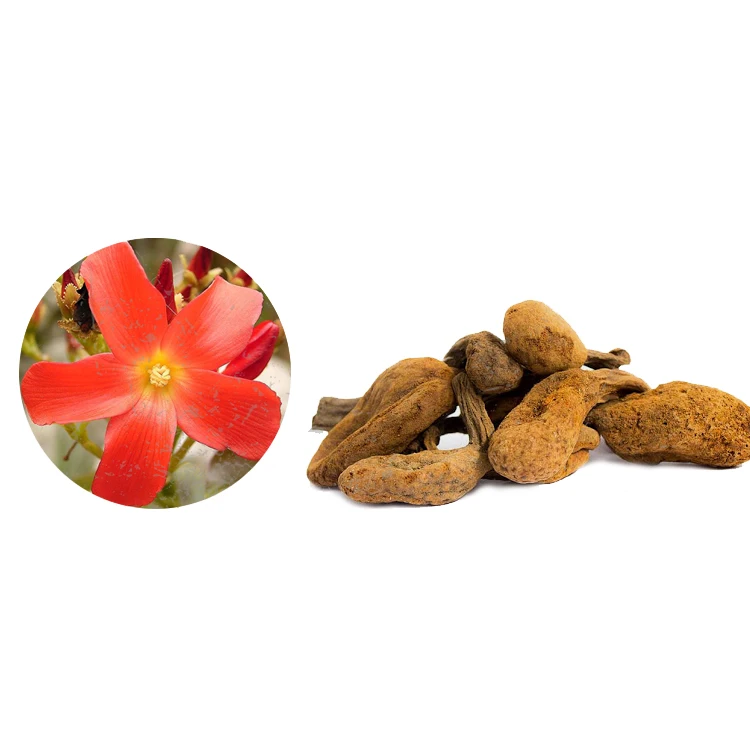 Huanarpo Macho Extract Powder Jatropha Macrantha