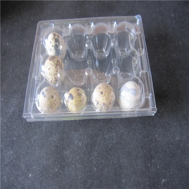 12 packs quail  egg  tray plastic PVC container for eggs