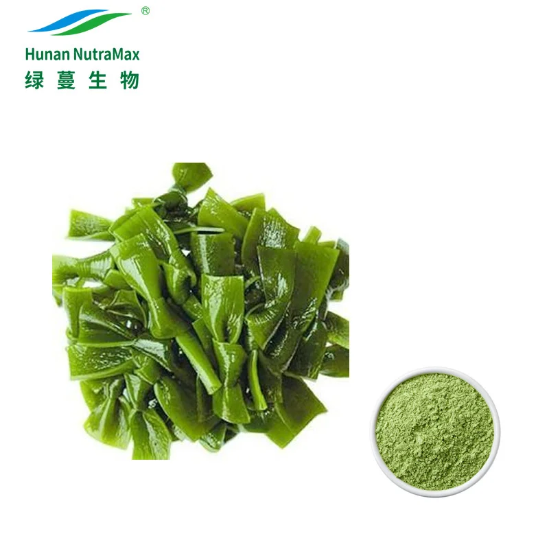 Health Sea Food Seaweed Powder Kelp Powder with Protein 60%