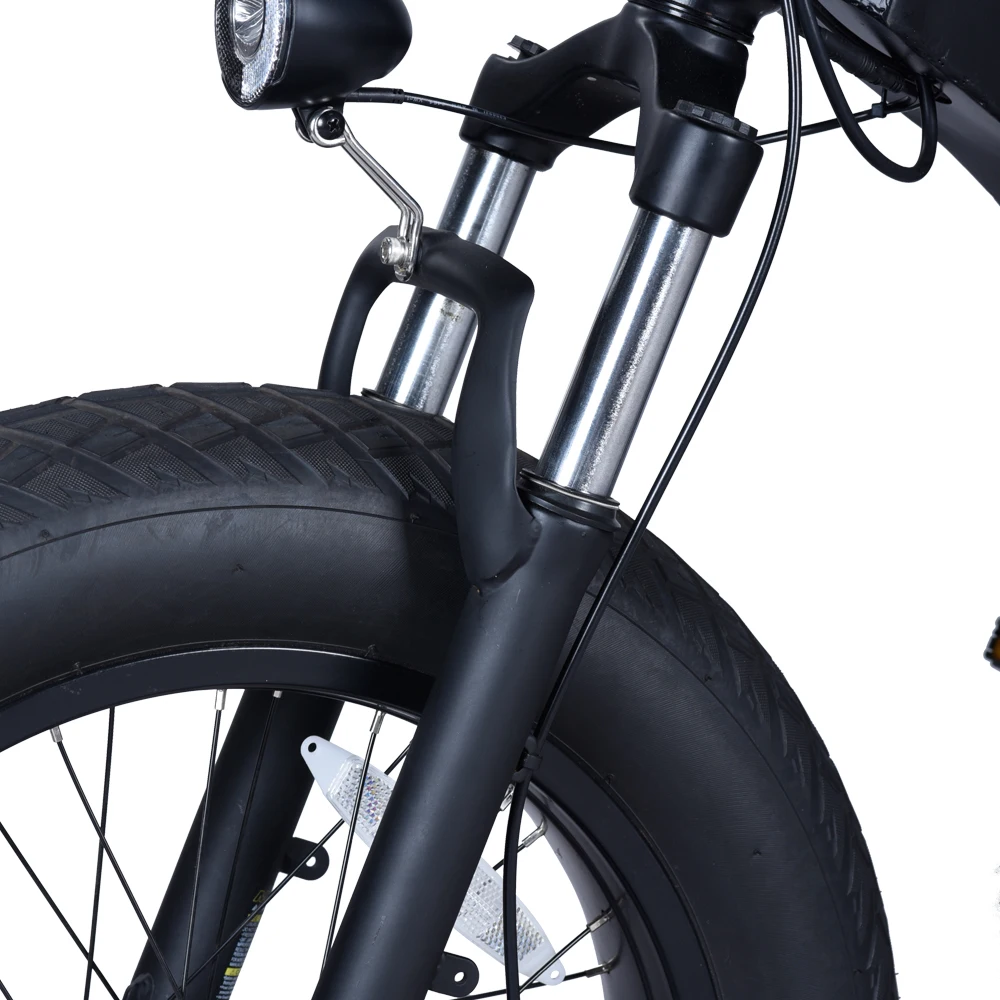 TAIQI DK200 2021 Fat Tire 48V 500w 750w 1000w lithium battery ebike model electric city Ebike  electric bicycle