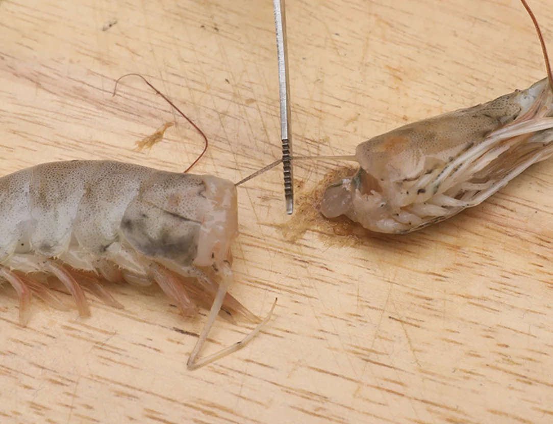 Нож из нержавеющей стали для чистки креветок, нож-лобстер, нож для линии креветок, практичные инструменты для морепродуктов, портативные кухонные принадлежности