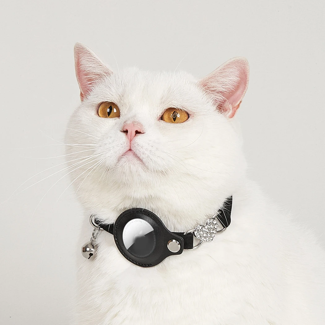 Wholesale Pet Dog GPS Tracking Collar Adjustable Flocking Fabric Luxury Design Cat Collar for Small Dogs