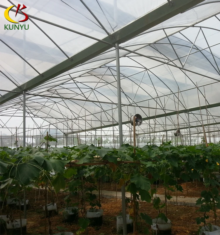 Gothic Arch Greenhouse Tropical Hydroponic System Agriculture Growing Sawtooth Plant House Tomato Planting For Sale