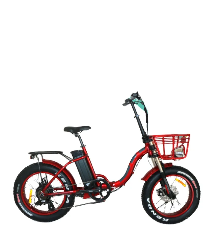 Elegance Lady Fashion Style 24*4.0 Electric Bike 250 W Lithium battery mountain bike