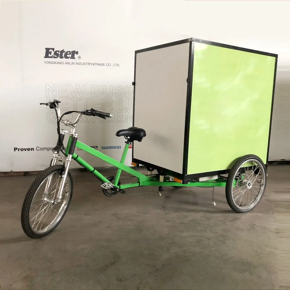 ESTER Cargo Tricycle on Sales ,500W Rear Motor, Waterproof Line,  customer request