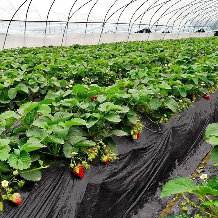 Weed control barrier mat in roll fabric / landscape ground cover / PP spunbond nonwoven non woven fabric or agriculture