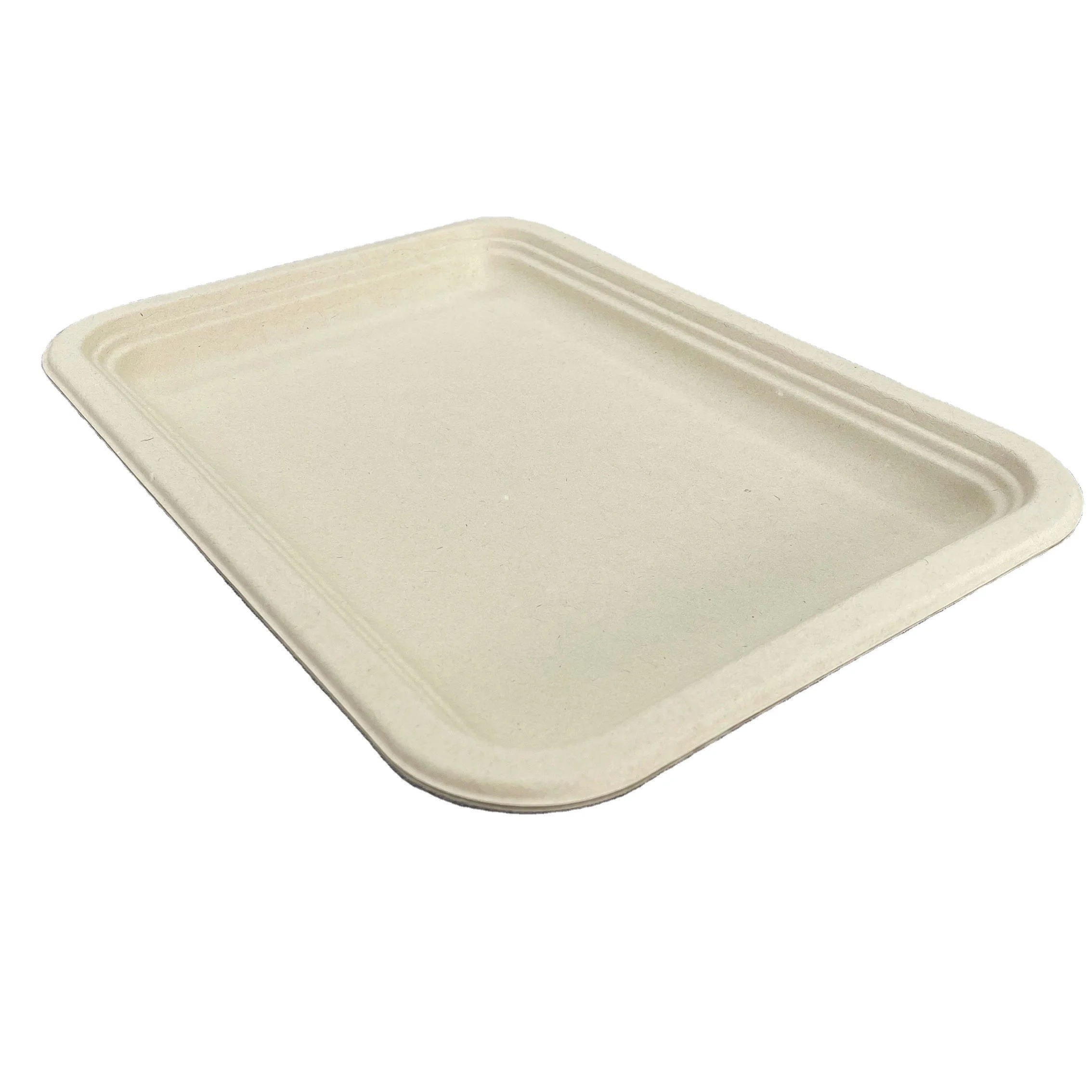 Modern Design Fruit Bagasse Meat Tray Sugarcane Wooden Rectangle Soft Edges BBQ Paper Serving Plate