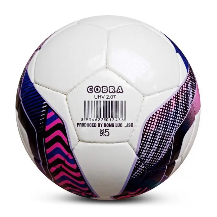 High Quality Football Sport Size 5 Soccer ball from Vietnam certificated VFF Cup  hand sewn - soccer ball