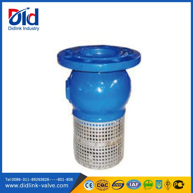 Well Hydraulic Air Bronze Stand Replacement Spring Din Ductile Iron Jet Pump Foot Valve Strainer