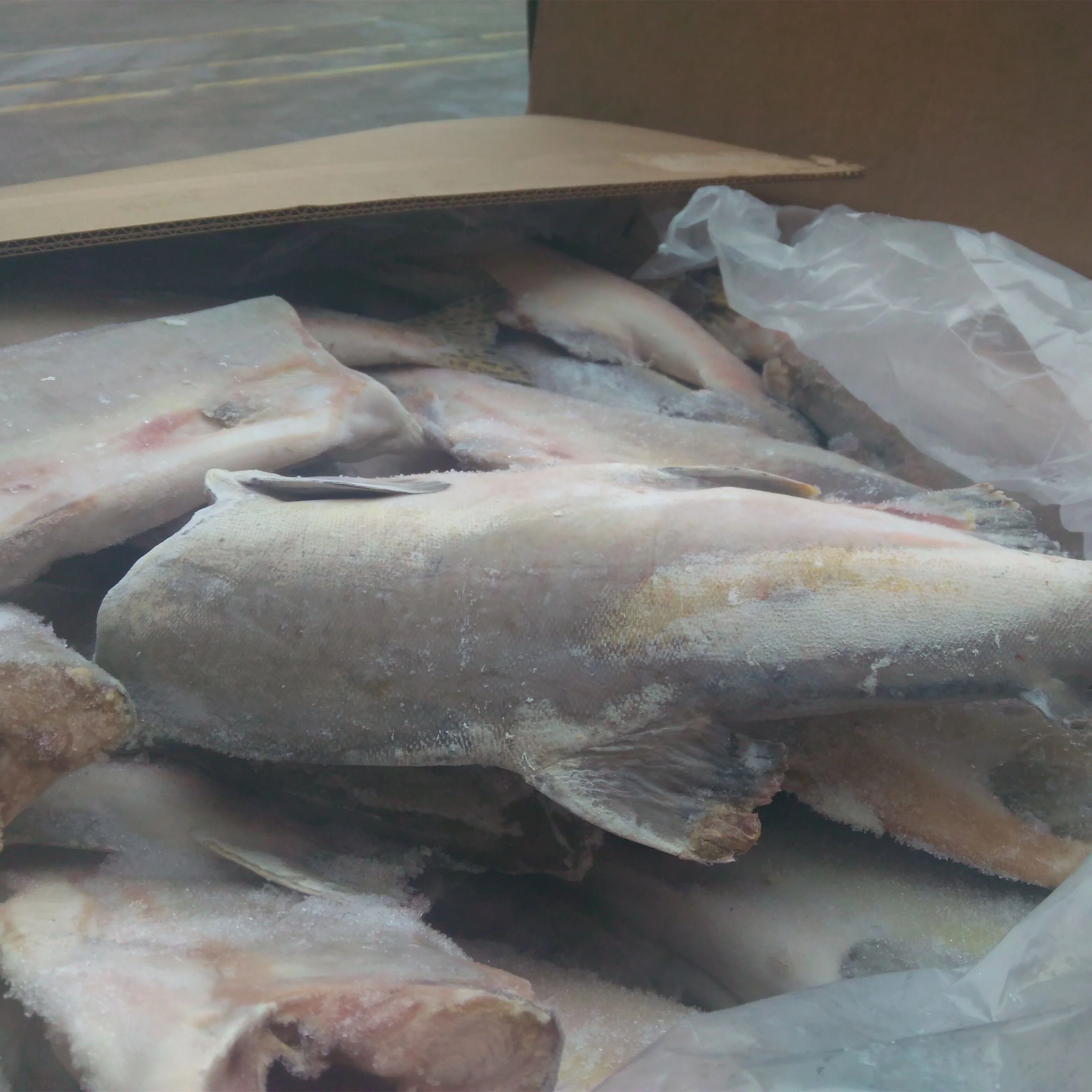 
Canned Pink Salmon In Brine 14.75 OZ 