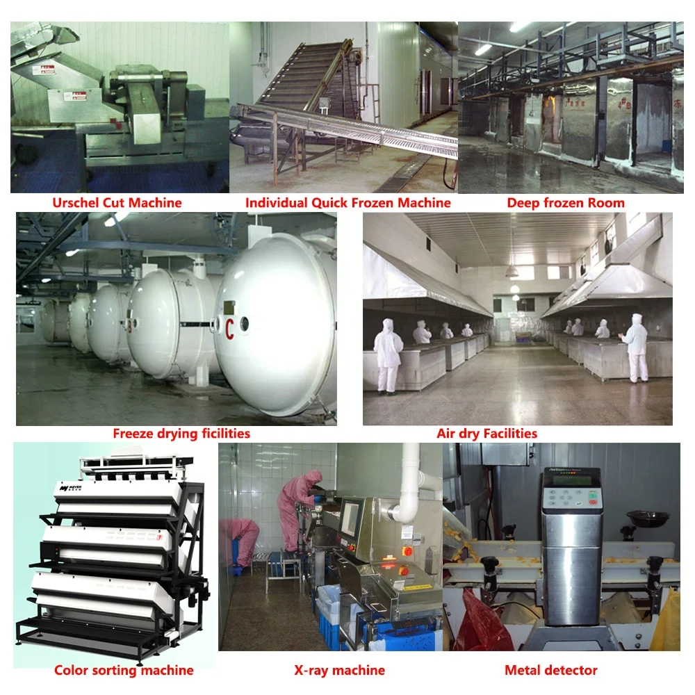 Free Samples Natural Freeze Dried Food 3mm Diced Freeze Dry Carrot for Soup