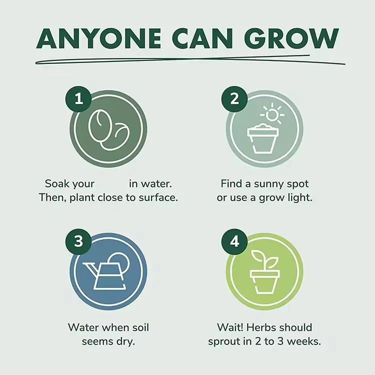 Smart indoor silicon micro natural dry rose herb garden growing starter kit USDA organic herb plant kit