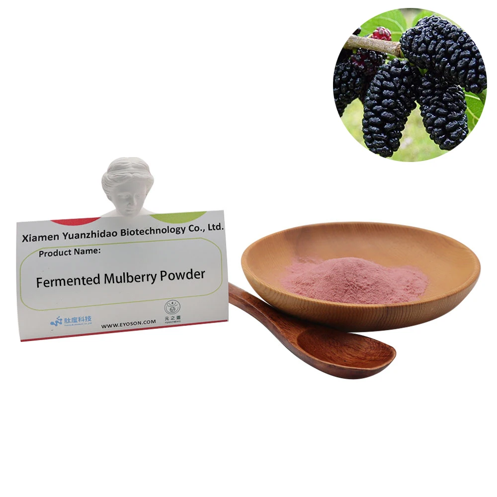 Hot Selling Super Fresh Fermented Mulberry Powder Health Care Raw Material  Mulberry Powder Nourishes The Liver And Kidney
