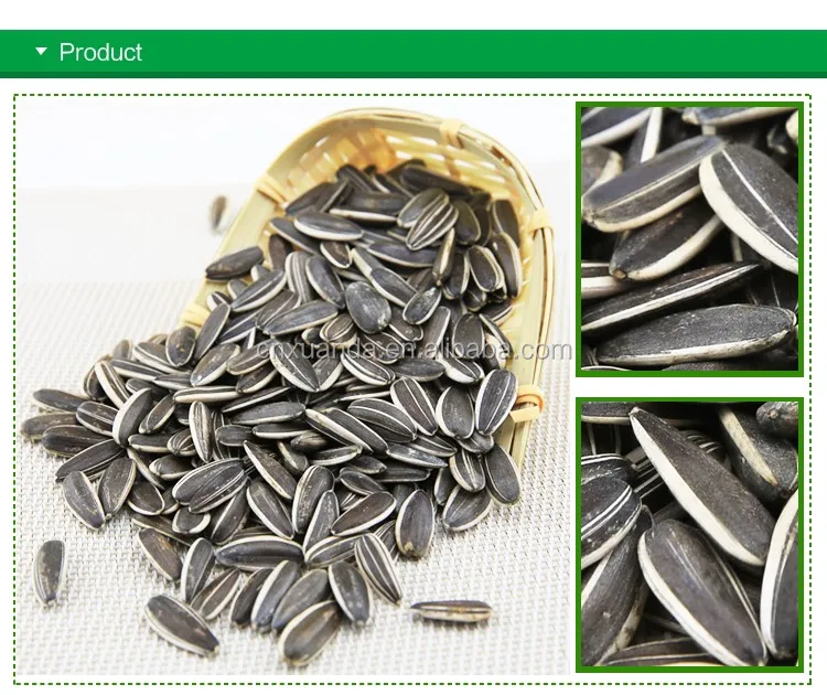 China Factory High Quality  Confectionary Bakery Big Size Bulk Sunflower Kernels Seeds