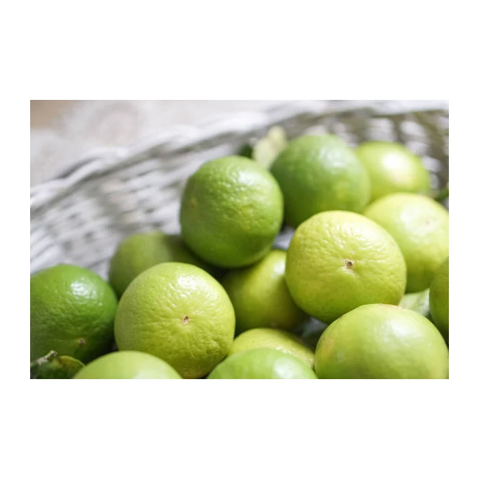 Fresh Premium Persian Lime - Top Quality, Best Price, Directly From Producers In Mexico Manufacturers