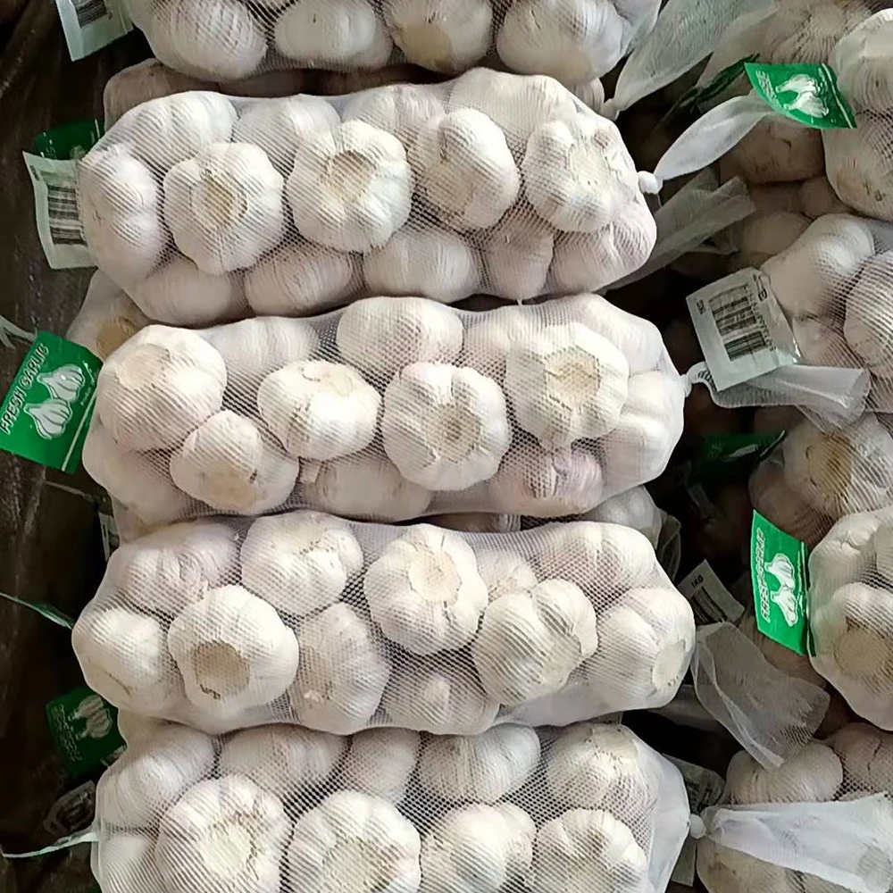Hot Sale Chinese New Fresh Pure White Garlic