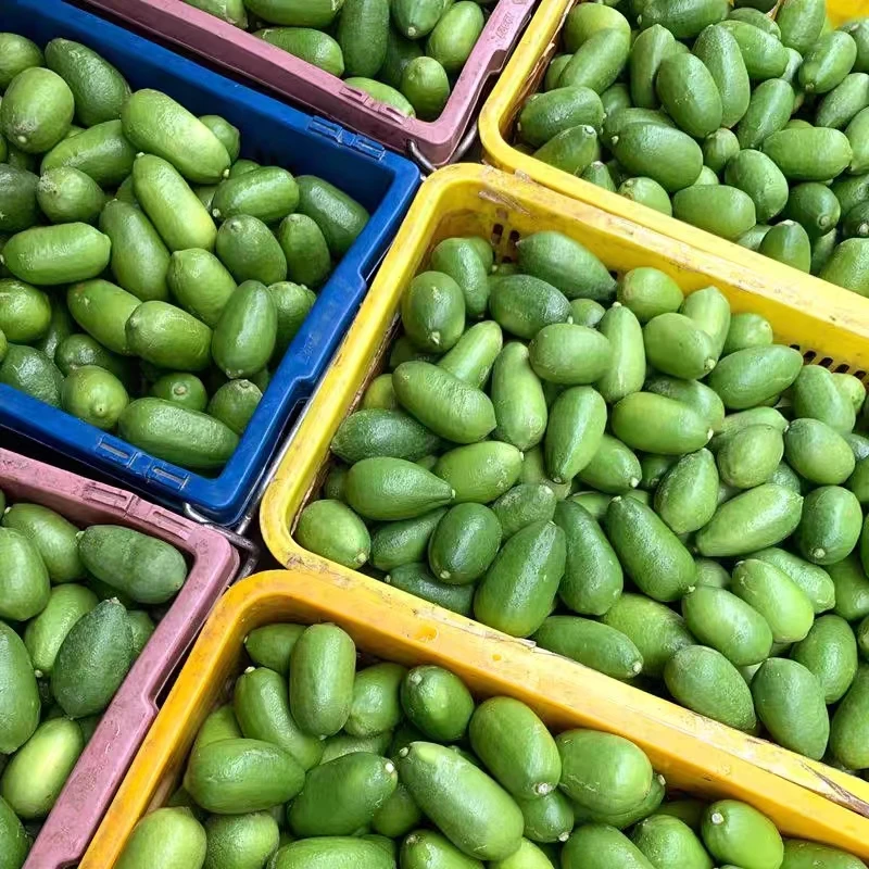 China export high quality fresh seedless lemon fresh lime
