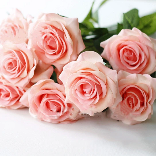 Ecuador roses DIY preserved rose head decorative real eternal forever rose flower