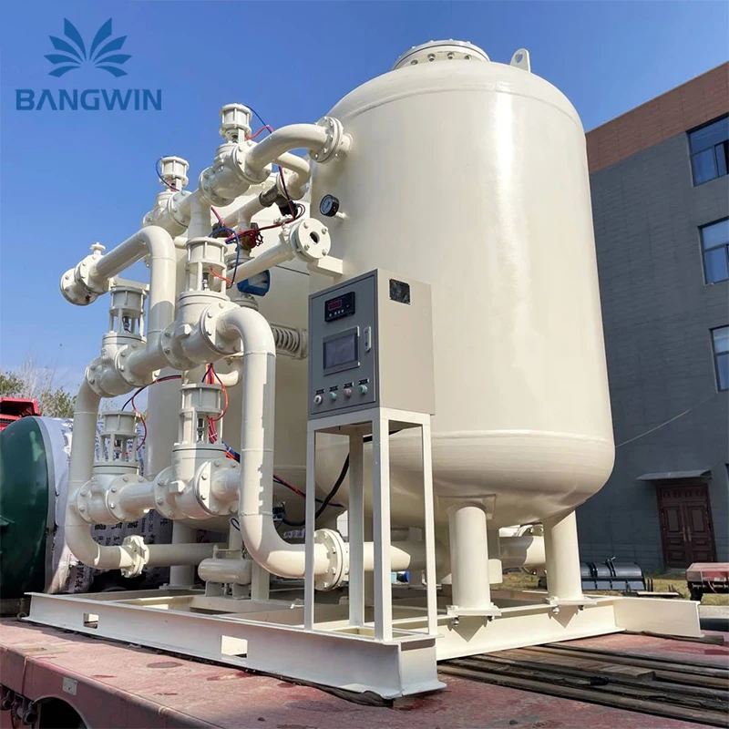 BW Medical Oxygen Plant Price Gas Generating Plant Industry