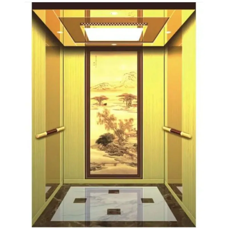 Smooth Running Stable Moving Passenger Elevator for Supermarket