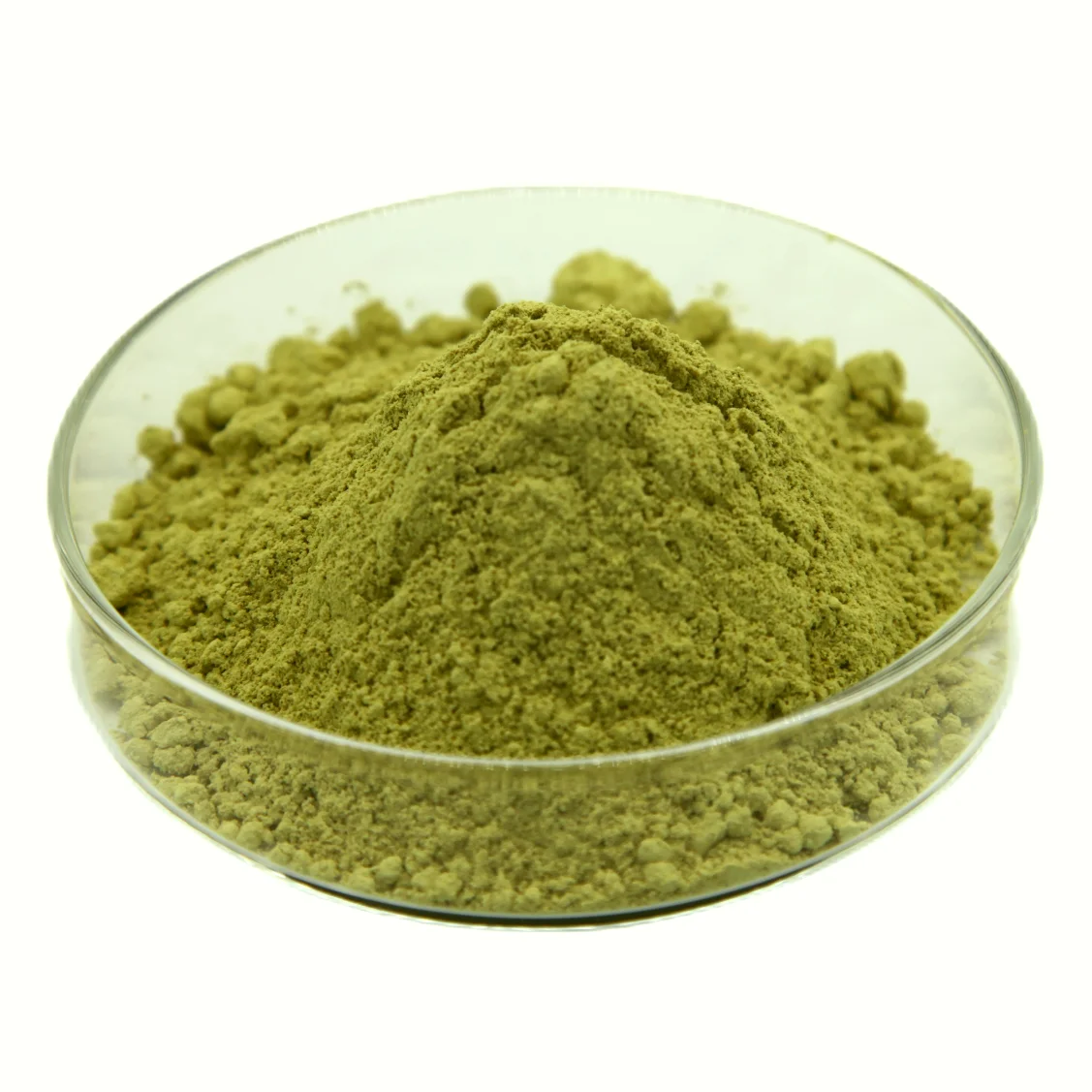 Heking nature herbal extract Polyphenols 4% and Cichoric Acid1% 2% powder echinacea angustifolia extract