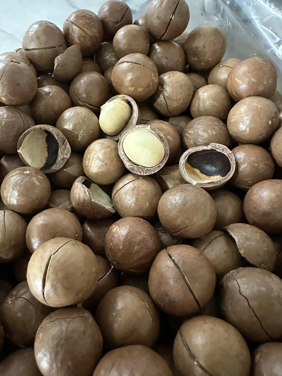 High Quality Organic Macadamia Nuts Ready-Eat Dried Shell Sweet Milky Flavor Hand Squeezed Yummy Snack Roasted Dried Fruit