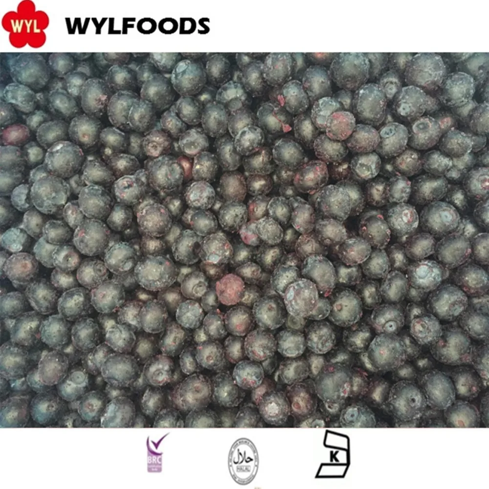 IQF Frozen blueberry fruits for Wholesales with Best Price  Good Quality IQF Frozen blueberry