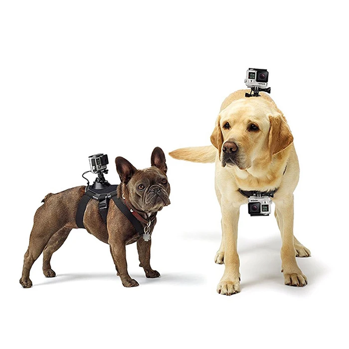 Professional Camera go pro pet dog Chest Strap with dual Mount for GoPro 4/3+/3/2/1