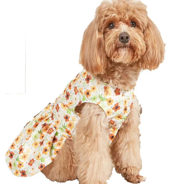 European American New Design Spring Summer Thin Breathable Dog Skirt Dress Two Legged Clothes for Girl Cats Dogs