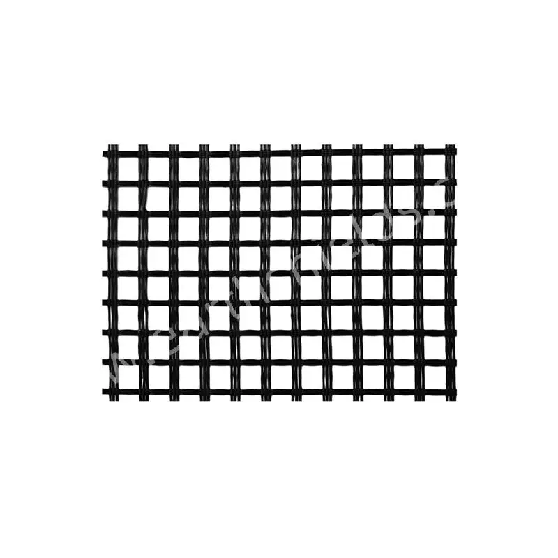 Earth Shield Good Quality TGSG 10-10 KN  PP Geogrid