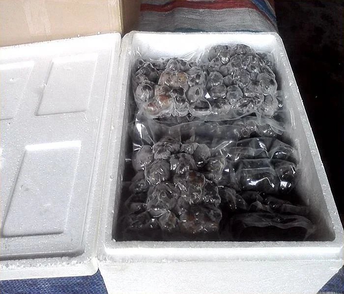 Market prices for mushrooms of hot sale black tuber indicum / frozen truffle