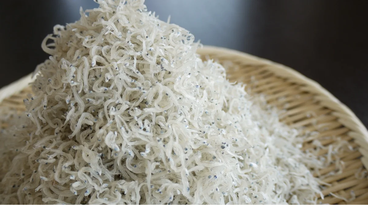 Chemical seasoning preservative free Japanese price frozen dry sardine