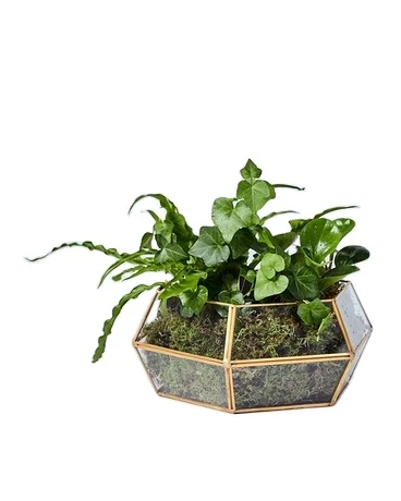 Triangle Shape Home Decorative Hanging Succulent Plants Glass Box Geometric Terrarium