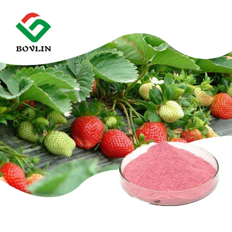 Freeze Dried Strawberry Powder Organic Strawberry Fruit Powder