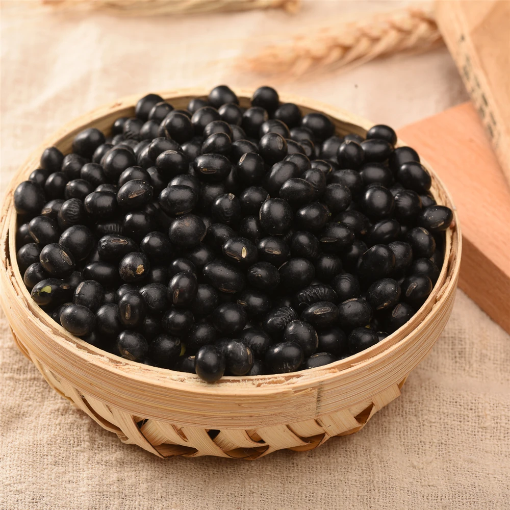 High Quality Black Soybean Soya Beans With For 25kg Bulk Bag  Sample Black Bean Wholesale Price