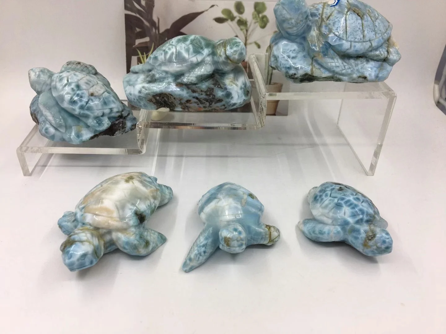 Natural Larimar Cabochon Turtles for Gemstone and Jewelry Design for display or pendant