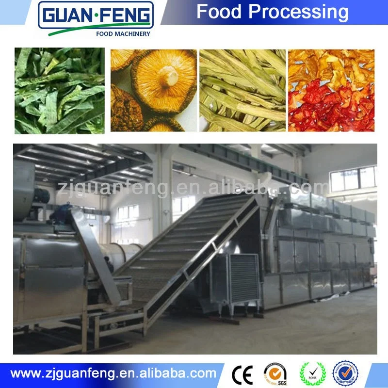 Hot sale vegetables and fruits dehydrator mango drying machine food processing machinery
