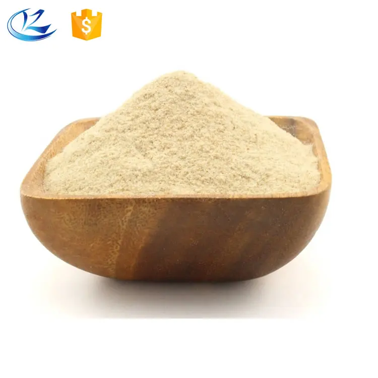 High Quality Vital Wheat Gluten 25kg Flour Hot Sale