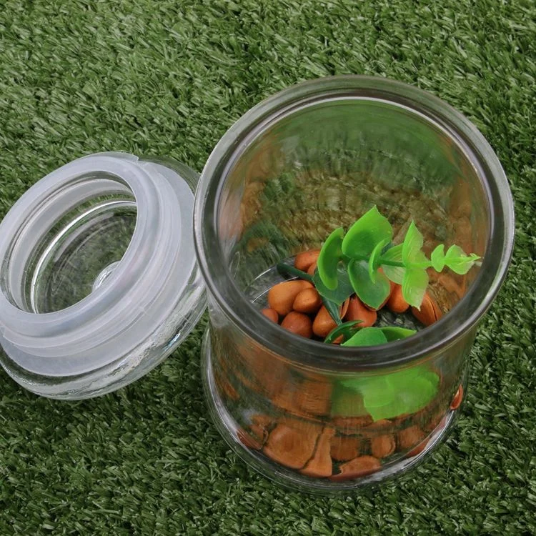 Glass Cookie Candy Penny Jar with Glass Lid Old Fashioned Clear Round Storage Container