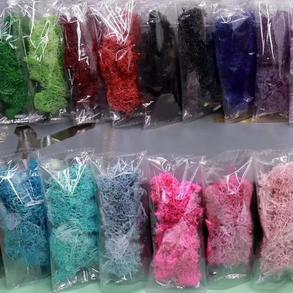 
Chinese supplier new products preserved Moss flower for Wall decoration 