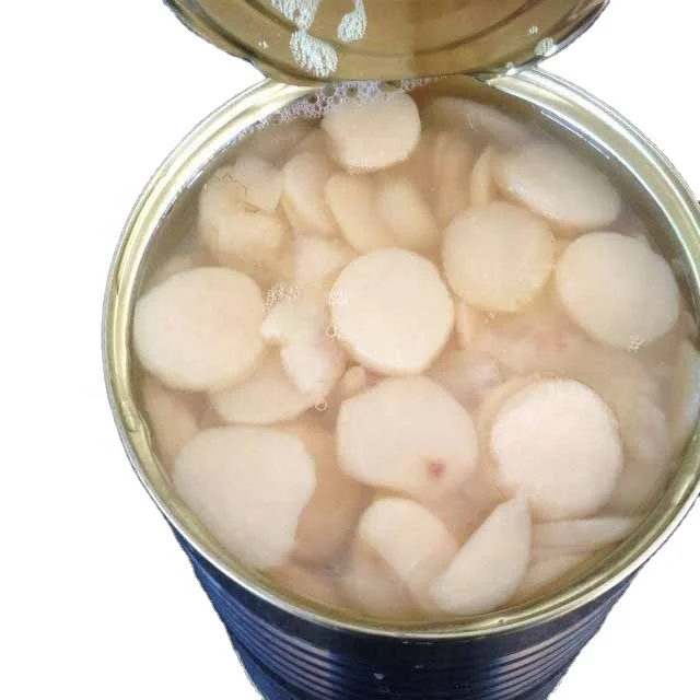 Chinese Wholesale Prices Canned Fresh Water Chestnut Whole/Slices/Dices from Origin