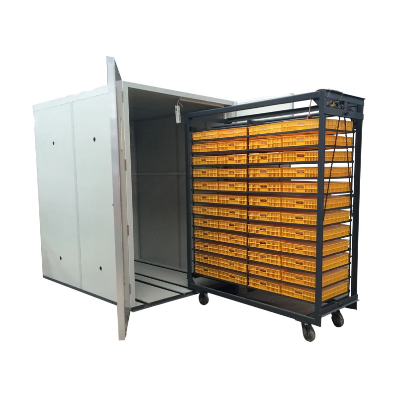 20000 eggs automatic egg incubator/50000 biggest industrial egg incubator