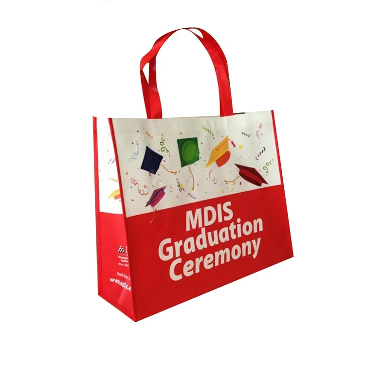 Green ecfriendly non woven laminated polypropylene bag